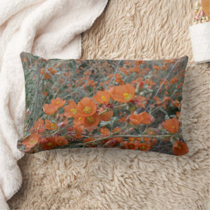 Coussin Rectangle Orange Désert Globemallow Fleurs En Fleur En Fleur