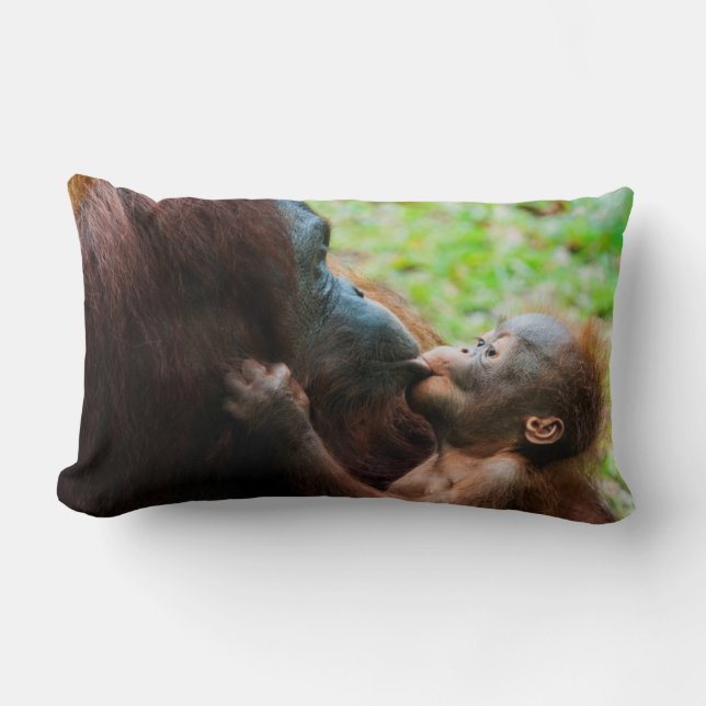 Coussin Rectangle Orangutan mother et baby (Recto)