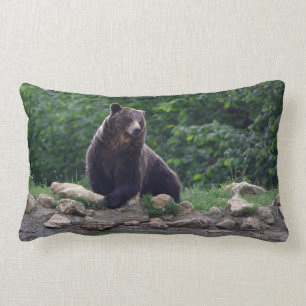 Coussin Rectangle Ours Brown