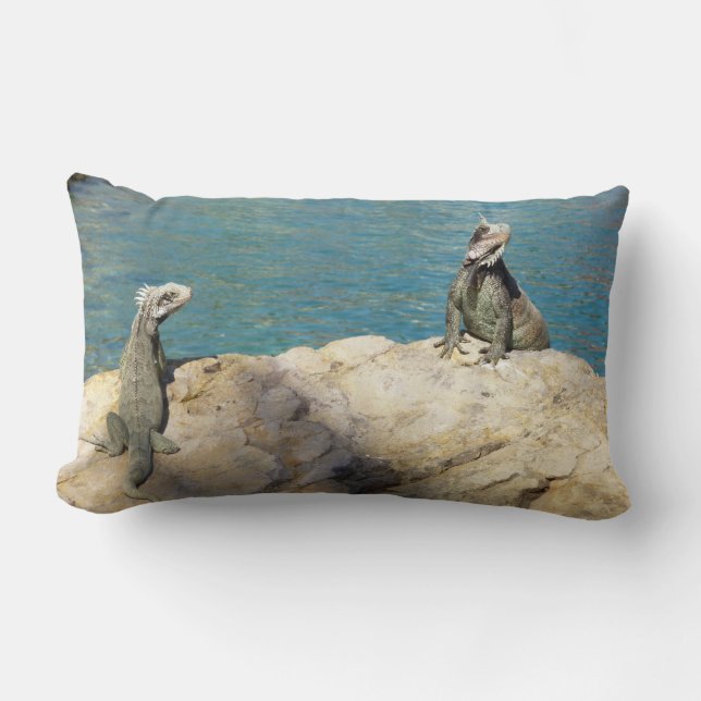 Coussin Rectangle Paire de Iguanas Photographie de la faune tropical (Recto)