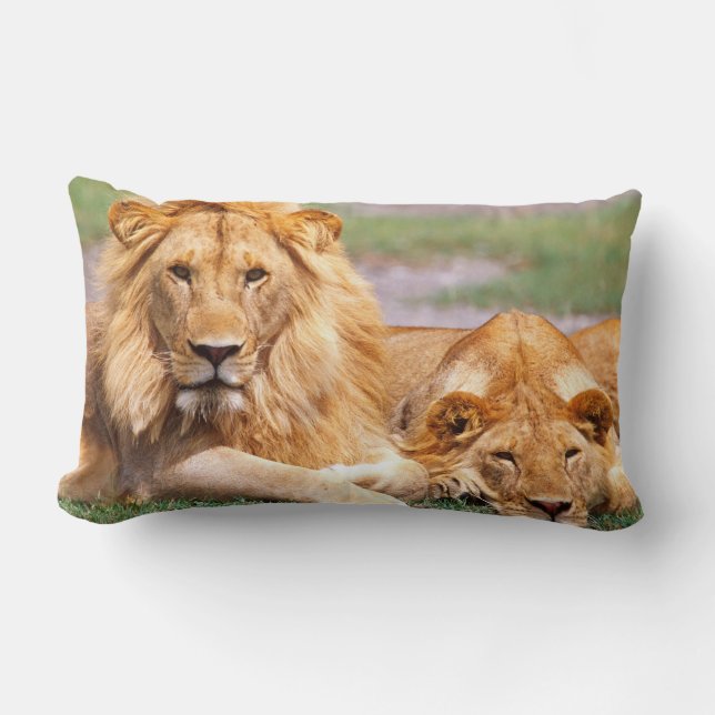 Coussin Rectangle Paire de lions africains, Panthera leo, Tanzanie (Recto)
