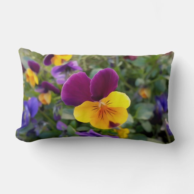 Coussin Rectangle Pansies lumineuses (Recto)