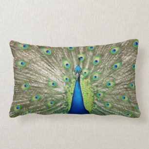 Coussin Rectangle Paon