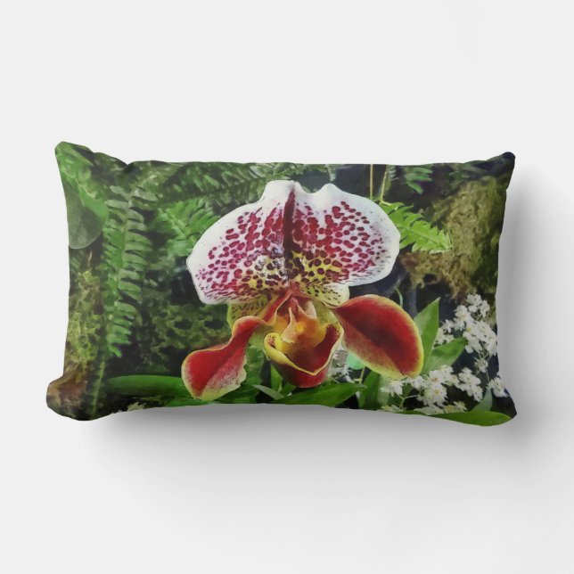 Coussin Rectangle Paph Fiordland Sunset Orchidée (Recto)