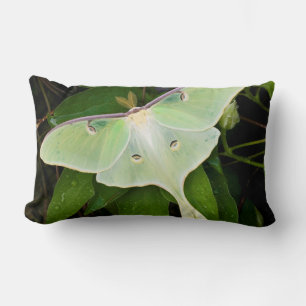 Coussin Rectangle Papillon lune sur clématite de Carnaby
