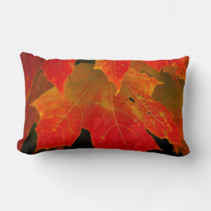 Coussin Rectangle Parc d'État d'Itasca, couleurs d'automne 2