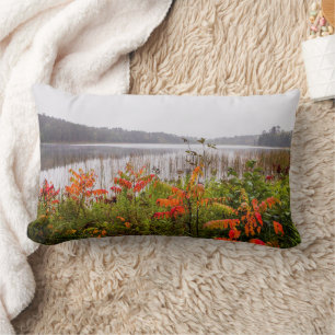 Coussin Rectangle Parc d'état d'Itasca Minnesota