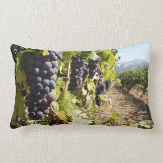 Coussin Rectangle Pays de vin de la Californie