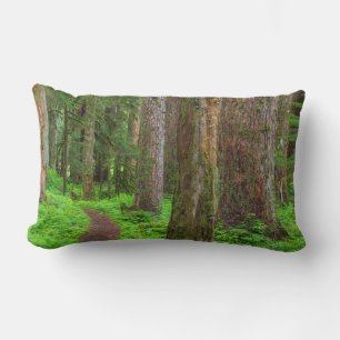Coussin Rectangle Paysage de forêt ancienne
