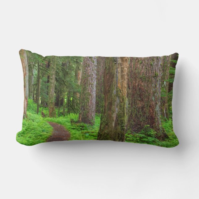 Coussin Rectangle Paysage de forêt ancienne (Recto)