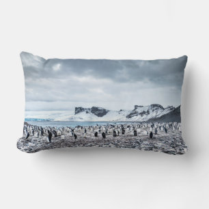 Coussin Rectangle Paysage de la colonie de pingouins de Chinstrap