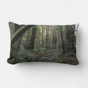 Coussin Rectangle Paysage forestier du ruisseau de Muir Woods