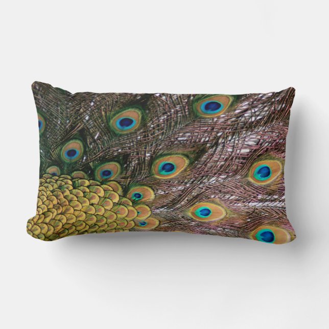 Coussin Rectangle Peacock Feathers Emerald Green et Gold (Recto)