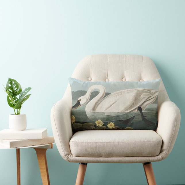 Coussin Rectangle Peinture Audubon White Swan Waterfowl (Chaise)