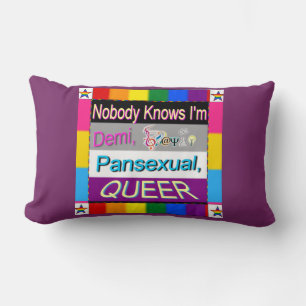 Coussin Rectangle Personne ne sait que je suis Demi Sapio Pansexual 
