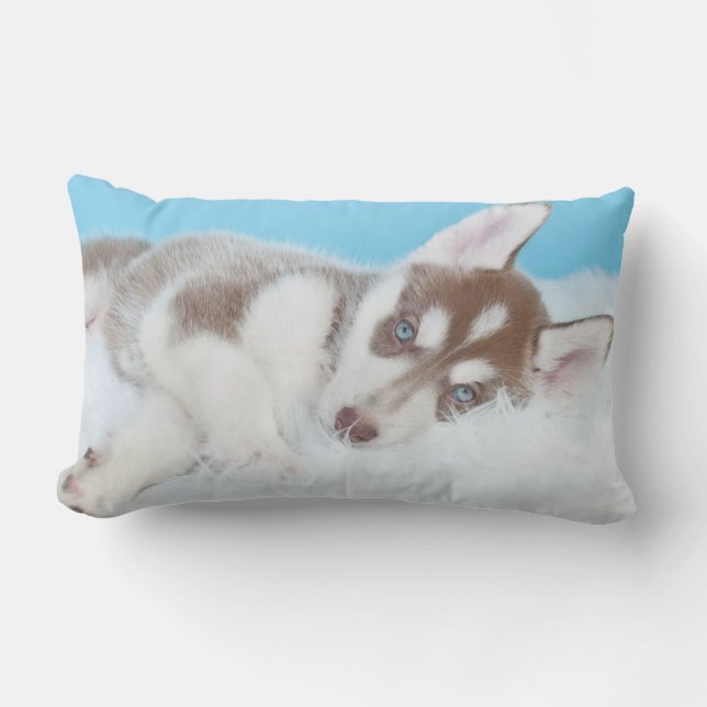 Coussin Rectangle Petite marionnette Husky posée sur une couverture (Recto)