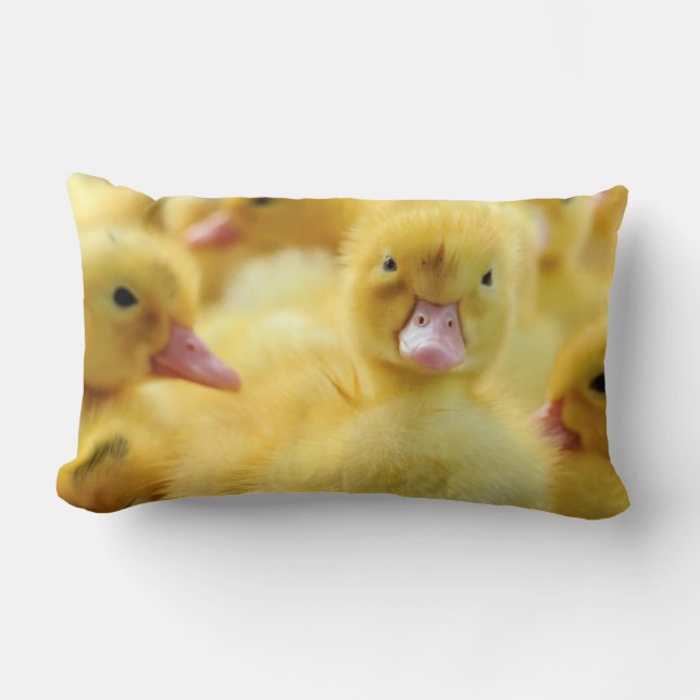 Coussin Rectangle Petits canards (Recto)