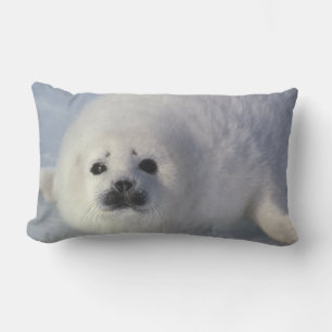 Coussin Rectangle Phoque du Groenland (Phoca groenlandica) Un harpe 