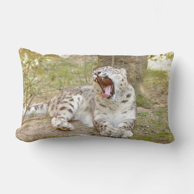 Coussin Rectangle Photo chat léopard des neiges, animaux . jeter l'o (Recto)