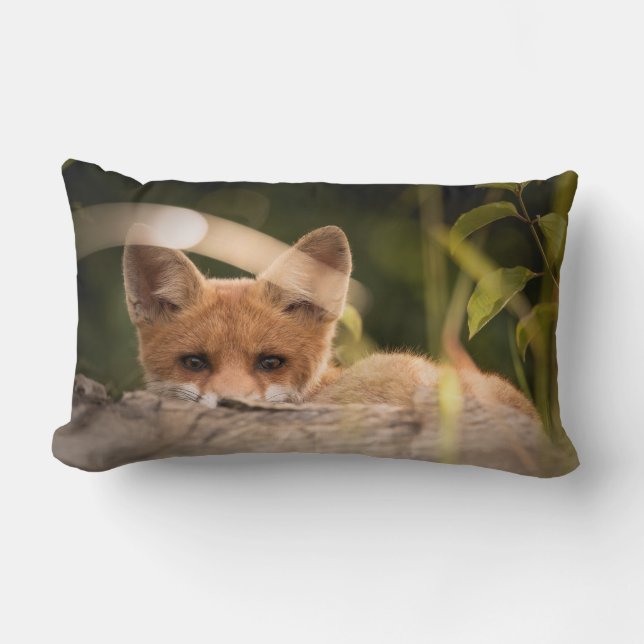 Coussin Rectangle Photo de Cute Little Orange Fox (Recto)