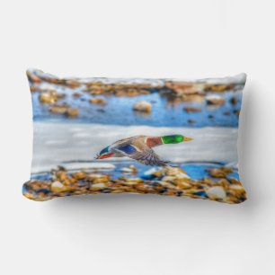 Coussin Rectangle Photo de la faune de Mallard Duck pour les amateur