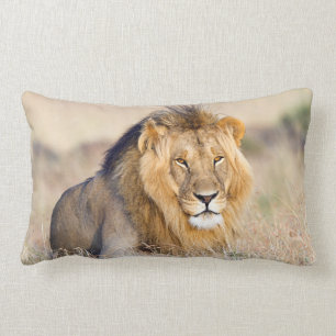 Coussin Rectangle Photo de lion majestueuse