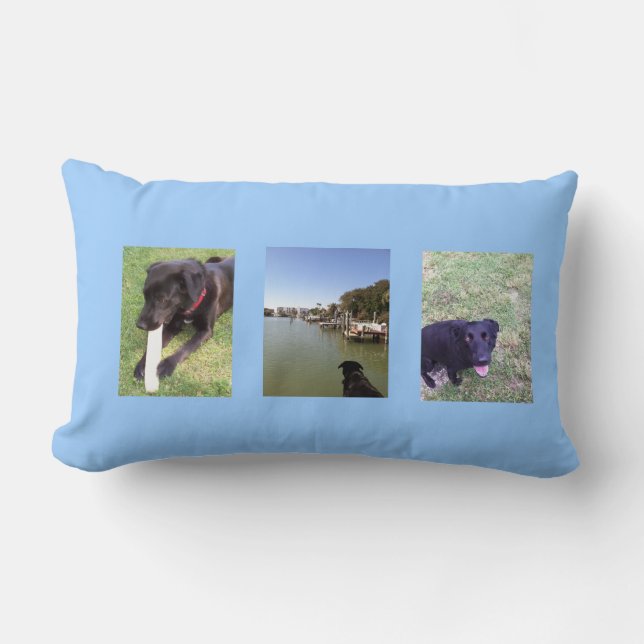 Coussin Rectangle Photo de trois grands chiens par des bbillips (Recto)