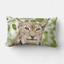 Coussin Rectangle Photo lynx chat, animaux jeter l'oreiller