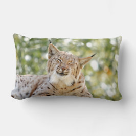 Coussin Rectangle Photo lynx chat, animaux jeter l'oreiller