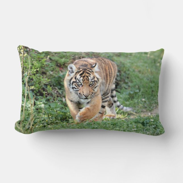 Coussin Rectangle Photo tiger chat, animaux jeter l'oreiller (Recto)