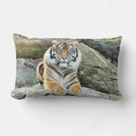 Coussin Rectangle Photo tiger chat, animaux jeter l'oreiller