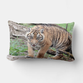 Coussin Rectangle Photo tiger chat, animaux jeter l'oreiller