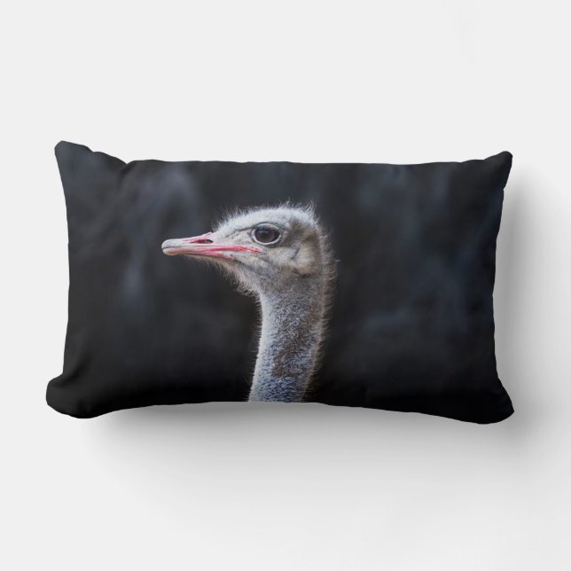 Coussin Rectangle Photographie d'autruche (Recto)