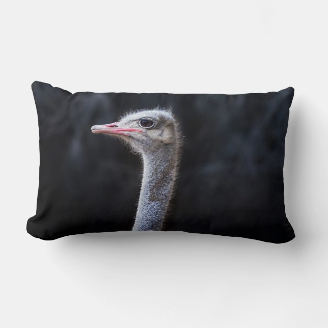 Coussin Rectangle Photographie d'autruche (Recto)