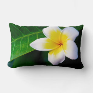 Coussin Rectangle Photographie de fleurs de plumeria