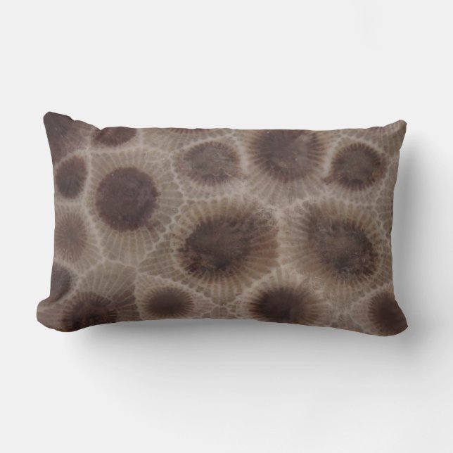 Coussin Rectangle Pierre de Petoskey (Recto)