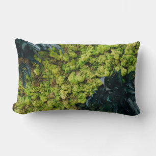 Coussin Rectangle Plantes à feuilles vertes