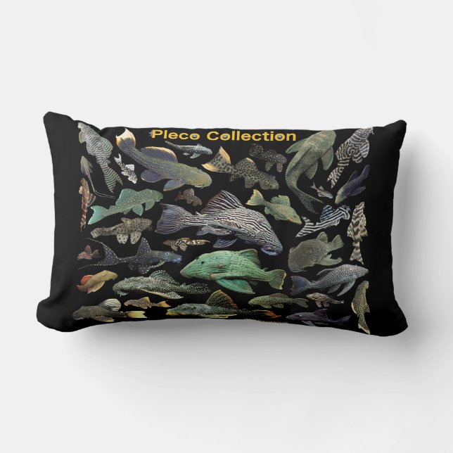Coussin Rectangle Pleco Collection (Recto)