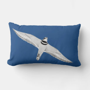 Coussin Rectangle Pluvier Kildir en Vol sur Fond Bleu