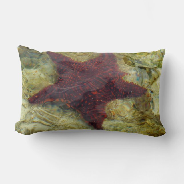 Coussin Rectangle Poisson étoilée sous-marine aux Bahamas (Recto)