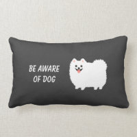 Pomeranian blanc pelucheux mignon - rendez-vous