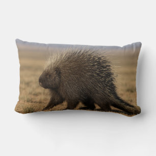 Coussin Rectangle Porc-épic contre chien