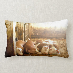 Coussin Rectangle Porcs se blottissants des images   de Getty