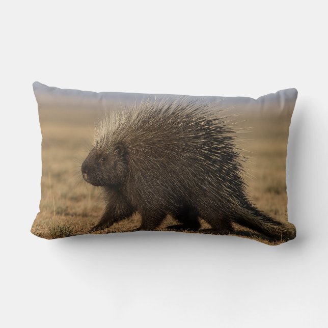 Coussin Rectangle Porcupine vs. Dog (Verso)
