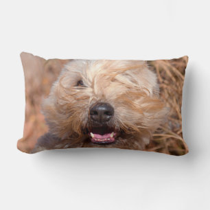 Coussin Rectangle Portrait de Terrier Wheaten à poil doux