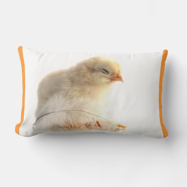 Coussin Rectangle poussins avec plume (Recto)