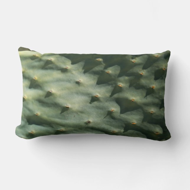 Coussin Rectangle Prickly Pear Texture Pale Green (Recto)