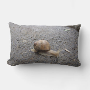 Coussin Rectangle Promenade de Snail