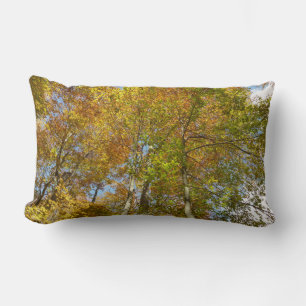 Coussin Rectangle Regard sur les feuilles d'automne III Foliage colo