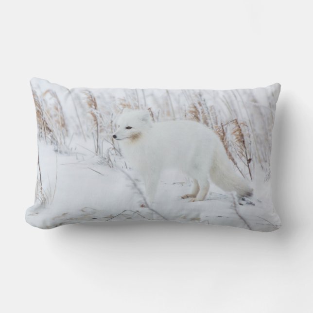 Coussin Rectangle Renard arctique (Recto)